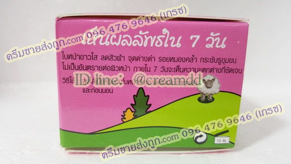 ครีมรกแกะไวท์โรส ครีมไวท์โรส พลาเซนต้าครีม ของแท้ ราคาส่งขายถูก Placenta Cream BY White Rose