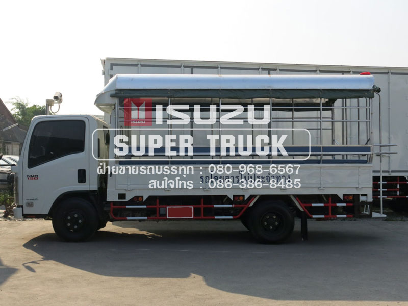 ISUZU NMR แบบกระบะคอก (ช่วงต่อยาว 4.3เมตร)