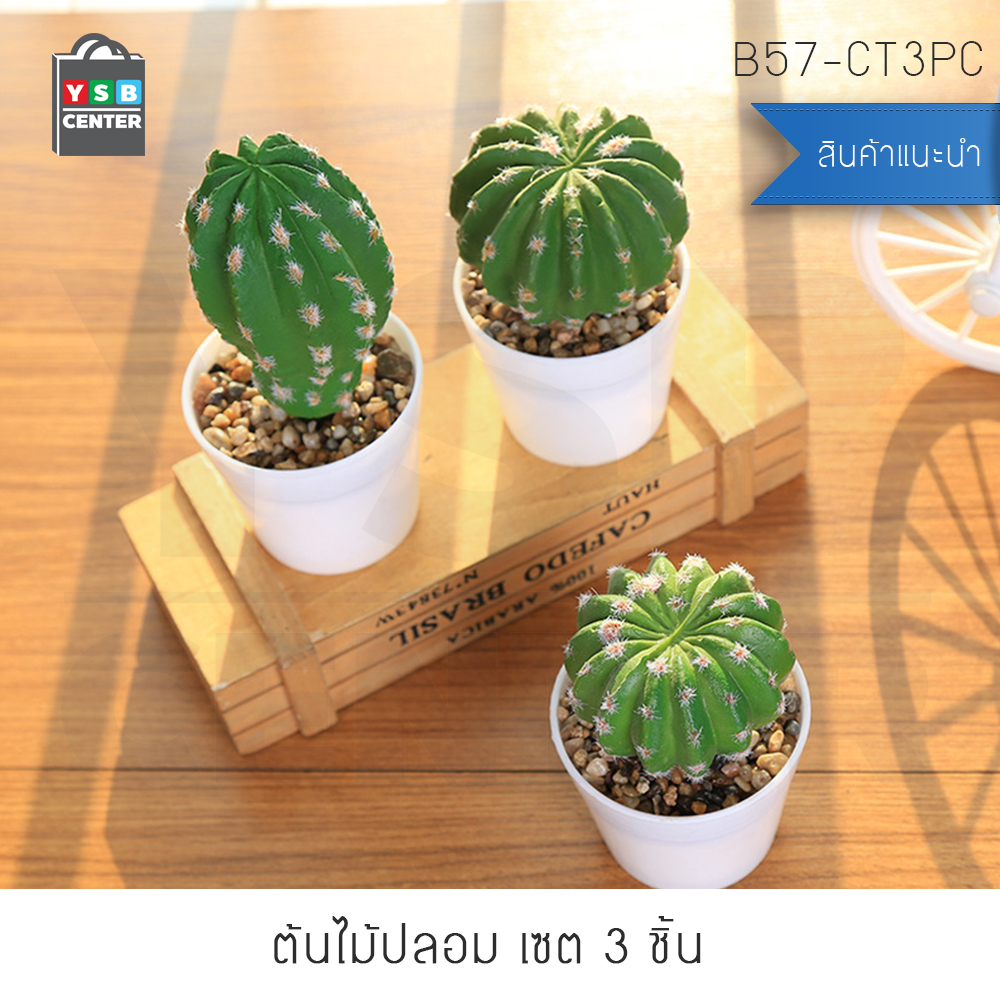 ต้นไม้ปลอม ต้นไม้แต่งบ้าน ดอกไม้พลาสติก ต้นไม้พลาสติก ดอกไม้ประดิษฐ์ (เซ็ต 3 ชิ้น) ขนาด 8.5x8.5x29 CM. รุ่น B57-CT3PC