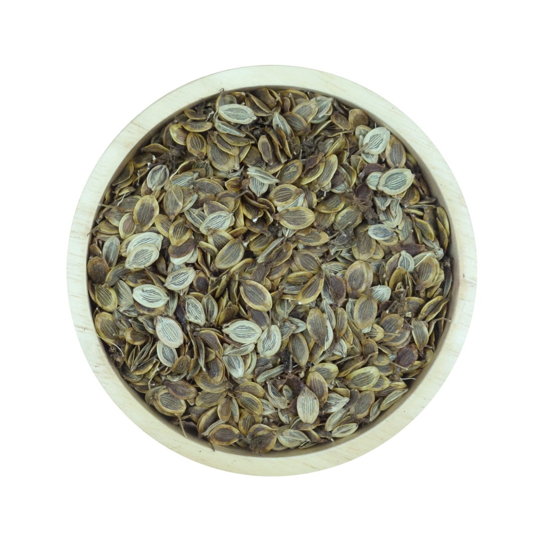 มะแหลบ (เทียนตั๊กแตน)