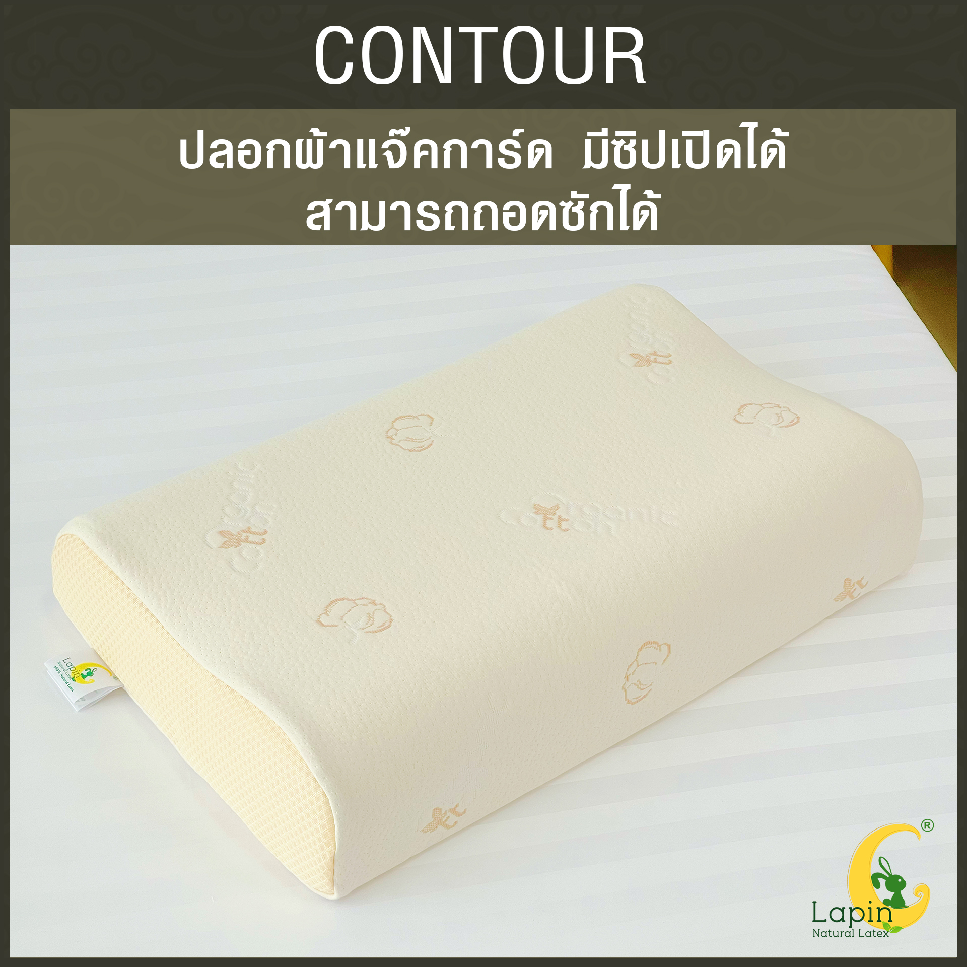 หมอนยางพาราแท้ 100% (LAPIN) รุ่น คอนทัวร์ (C)