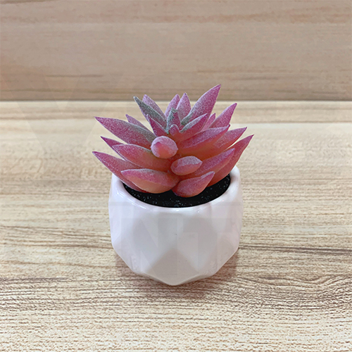 ต้นไม้ปลอม ต้นไม้แต่งบ้าน ดอกไม้พลาสติก ต้นไม้พลาสติก ดอกไม้ประดิษฐ์ (เซ็ต 5 ชิ้น)