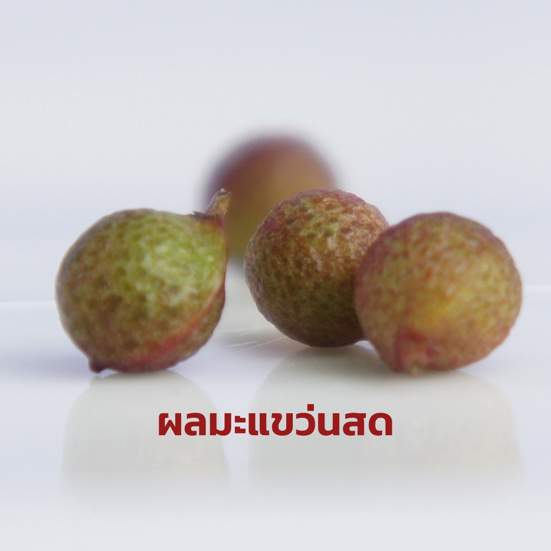 มะแขว่น | มะแขว่นหอม | มะแขว่นพร้อมก้าน | มะแขว่นใส่ลาบ | หมากมาศ 100 กรัม