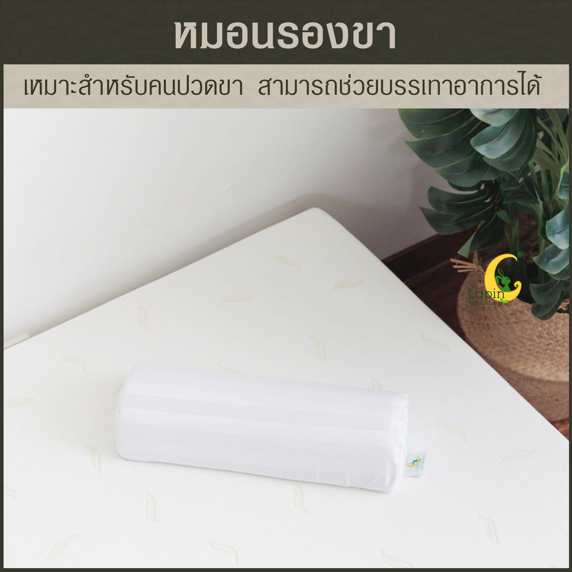 หมอนรองขายางพาราแท้ 100%