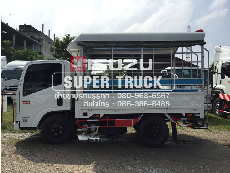 ISUZU NMR แบบกระบะคอก (ช่วงต่อยาว 3เมตร)