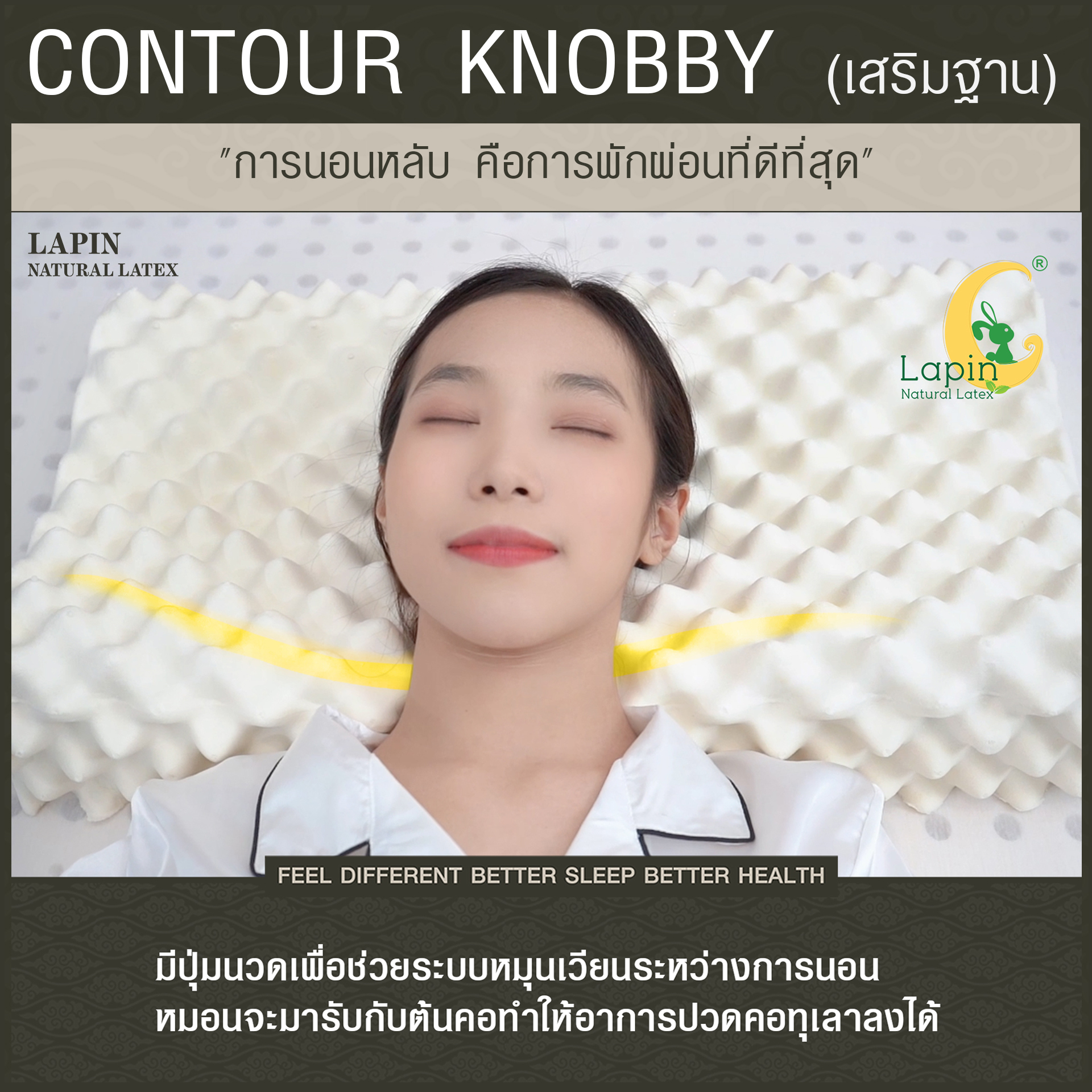 หมอนยางพาราแท้ 100% (LAPIN) รุ่น คอนทัวร์ น็อบบี้ (CK + เสริมฐาน 1 นิ้ว )