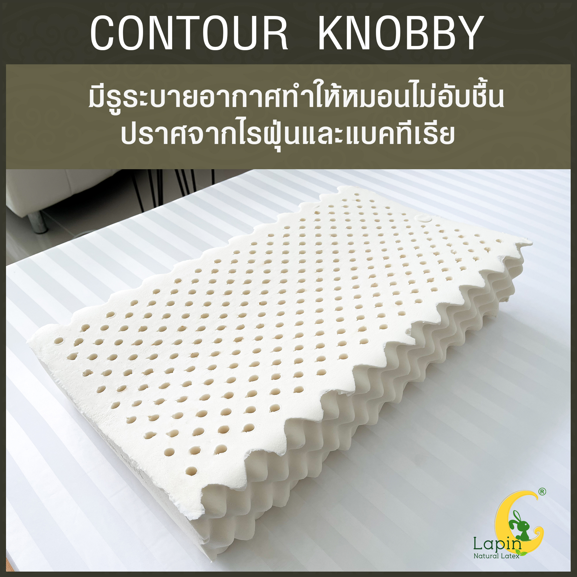 หมอนยางพาราแท้ 100% (LAPIN) รุ่น คอนทัวร์ น็อบบี้ (CK) (สินค้าขายดี)