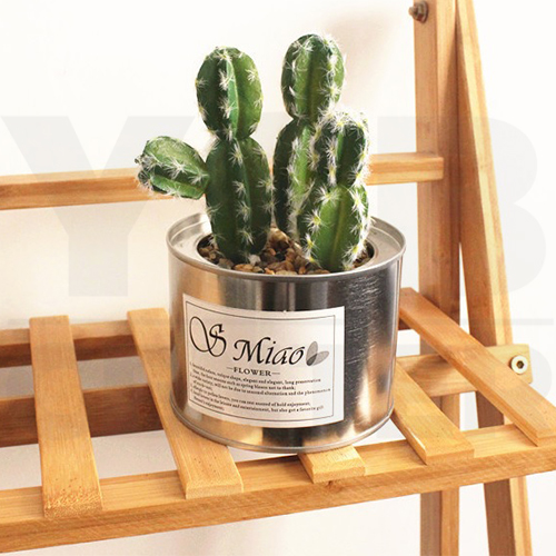 CASSA กระบองเพชร ต้นกระบองเพชร ต้นไม้ประดิษฐ์ ต้นไม้ปลอม พร้อมกระถาง รุ่น B587-C2