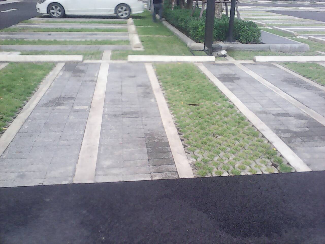 ตีเส้นช่องจอดรถภายในคอนโด กทม