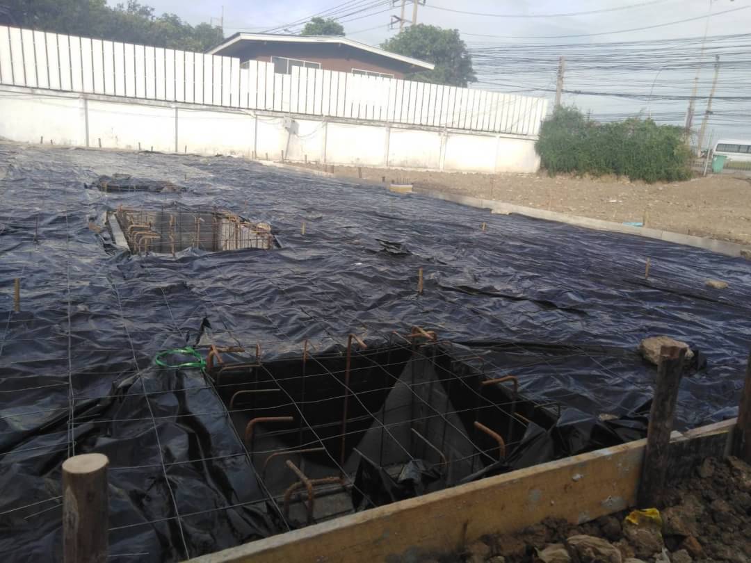 หน้างาน เสรีไทย