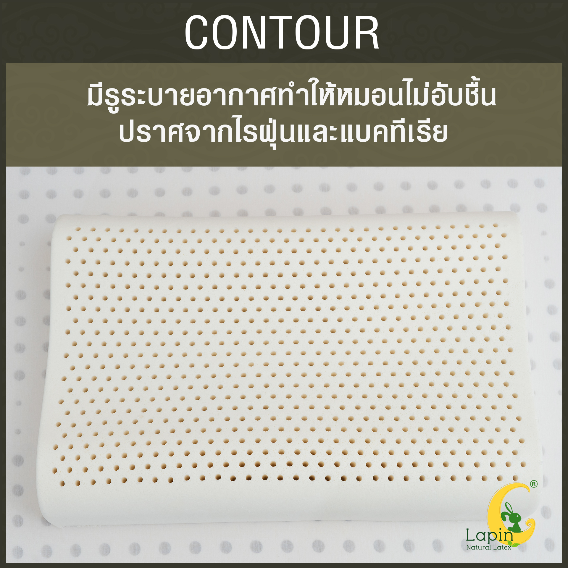 หมอนยางพาราแท้ 100% (LAPIN) รุ่น คอนทัวร์ (C)
