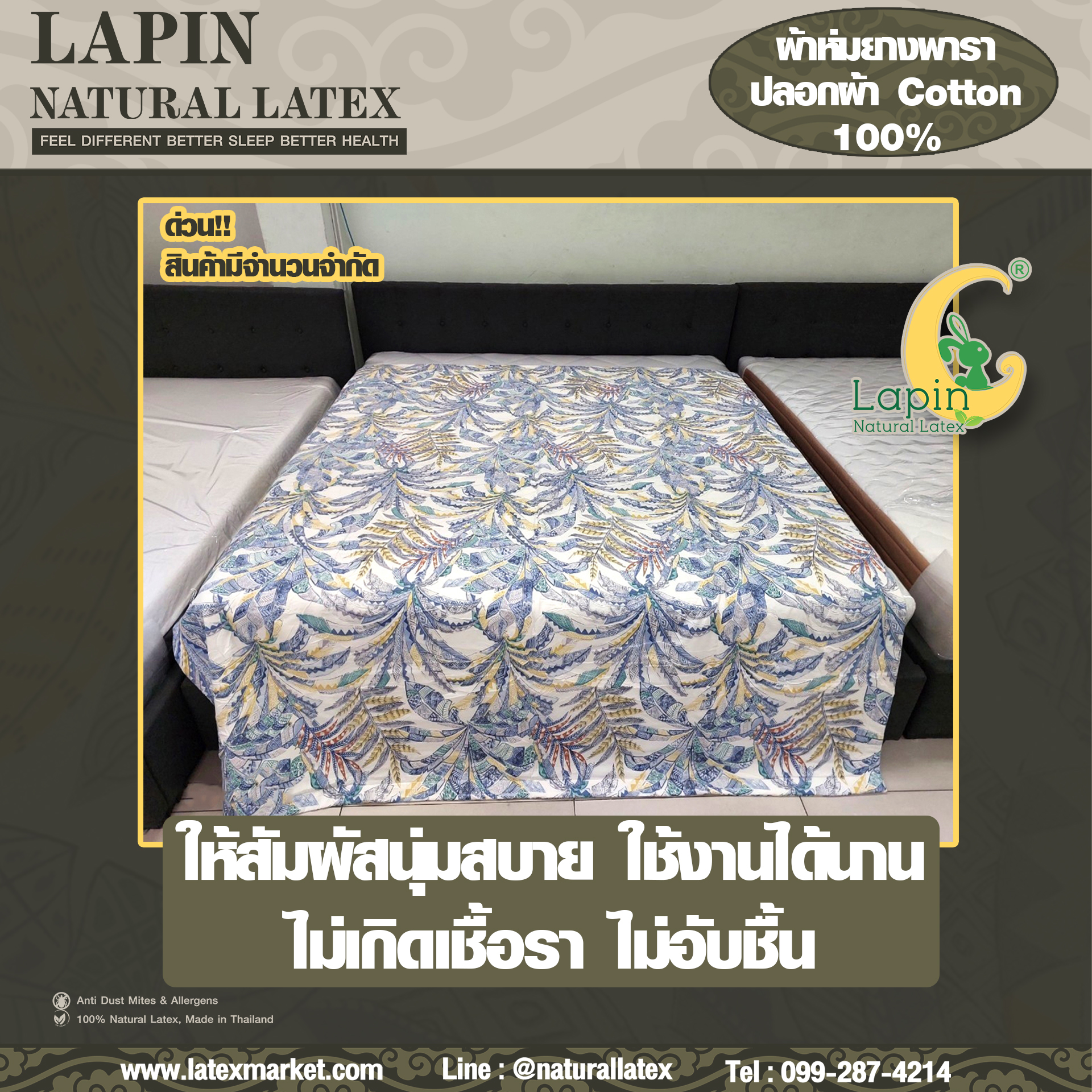 SB Design Square ผ้าห่มยางพารา ปลอกผ้า Cotton 100% ขนาด 160x210 ซม.