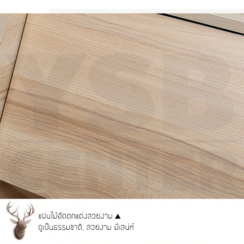 CASSA ชั้นวางของสไตล์โมเดิร์น ชั้นวางอเนกประสงค์ ชั้นเก็บของ (แบบมีฝาปิดด้านหน้า) ขนาด 40×38×30 cm.