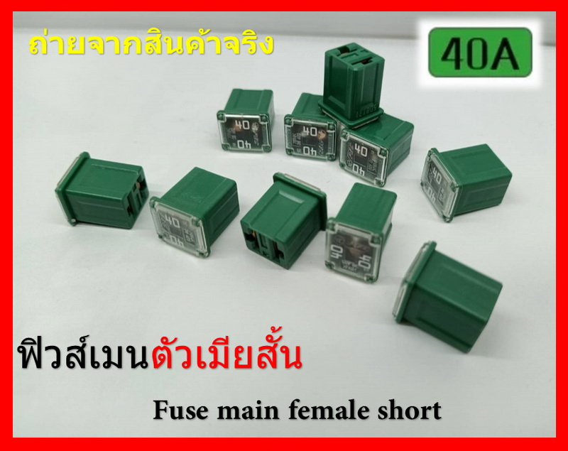 2 ชิ้น 40 แอมป์ DC 9V-32V.ฟิวส์เมนรถยนต์ PEC ตัวเมียสั้น ความสูง 16 มิล Fuse main female short สีเขียว Green รหัส 9A8181