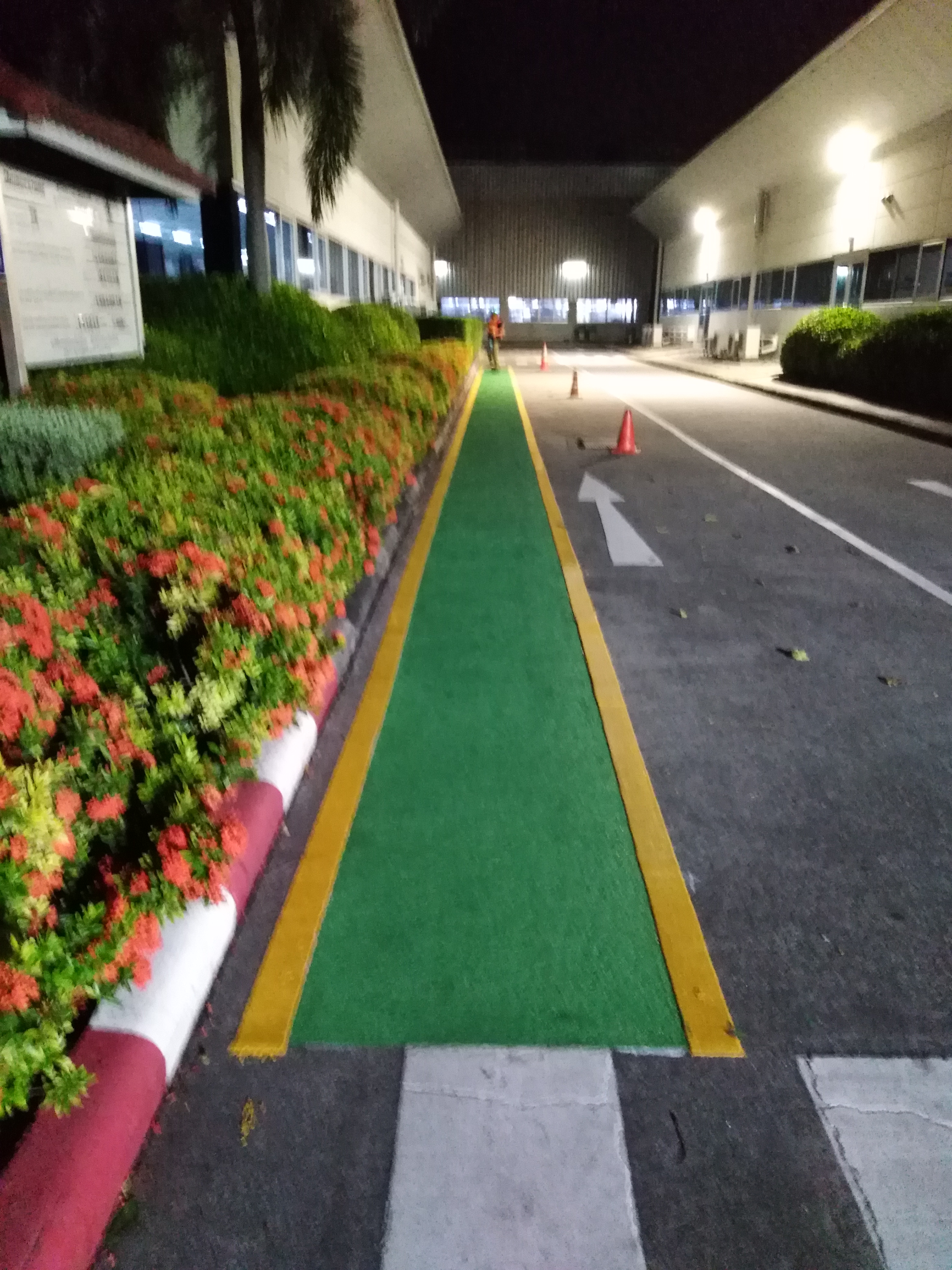 ทาสีทางเข้าออกด้วยสีอีบ๊อคซี่,เหลืองดำขาวแดง