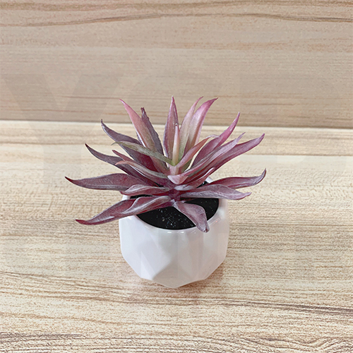 ต้นไม้ปลอม ต้นไม้แต่งบ้าน ดอกไม้พลาสติก ต้นไม้พลาสติก ดอกไม้ประดิษฐ์ (เซ็ต 5 ชิ้น)