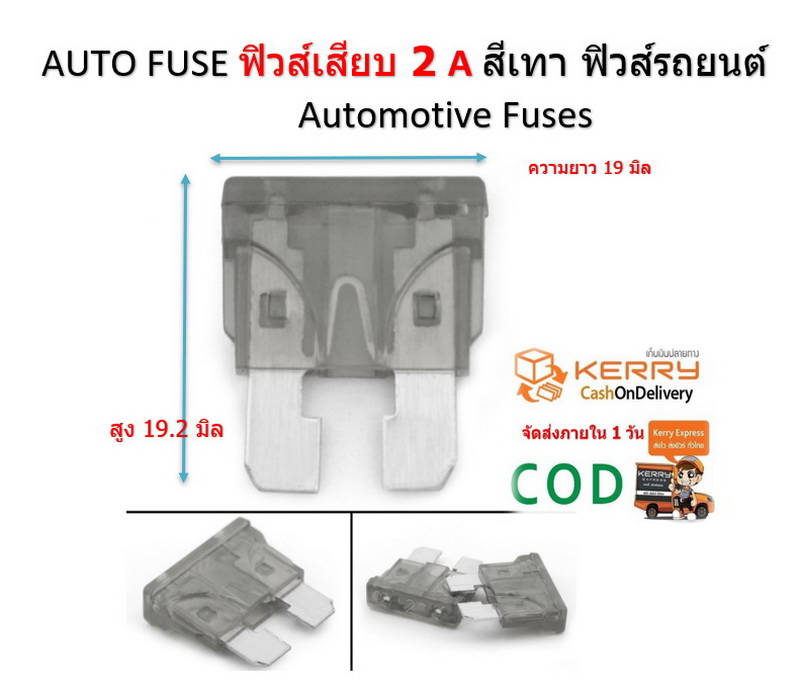 ฟิวส์สแตนดาส ฟิวส์เสียบ 2 แอมป์ Grey สีเทา Standard Type DC 9-32V. ตัวละ