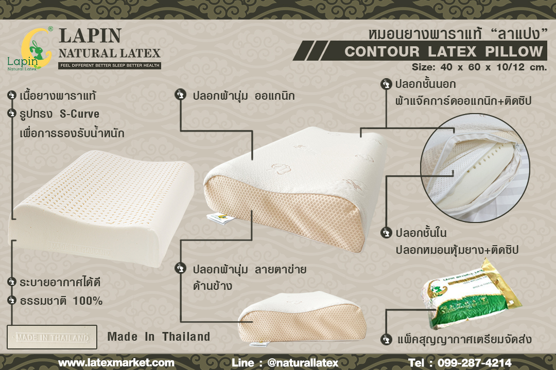 หมอนยางพาราแท้ 100% (LAPIN) รุ่น คอนทัวร์ (C)