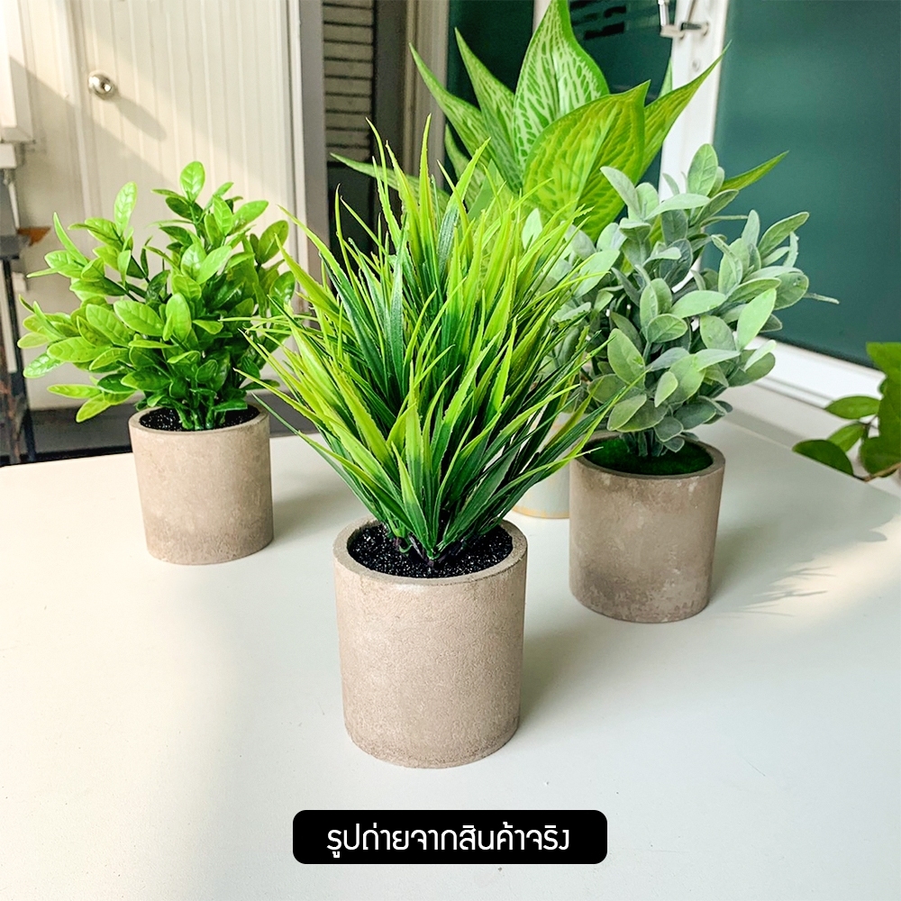 ต้นไม้ปลอม ต้นไม้ตกแต่ง ของแต่งสวน