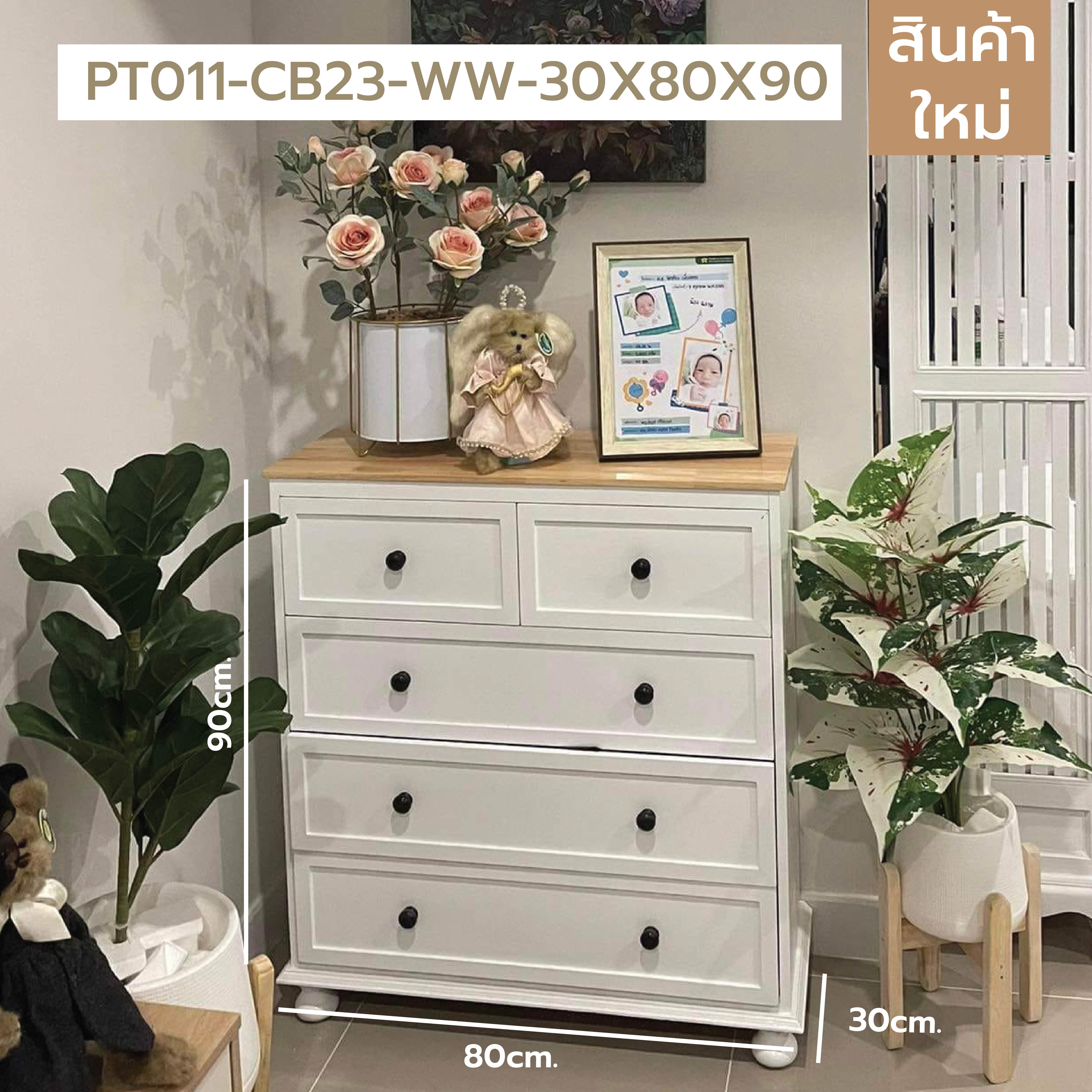 ชั้นวางของ ลิ้นชักเก็บของ ตู้ใส่ของ ชั้นวางสไตล์มินิมอล (ไม่ต้องประกอบ) PT010 - PT011