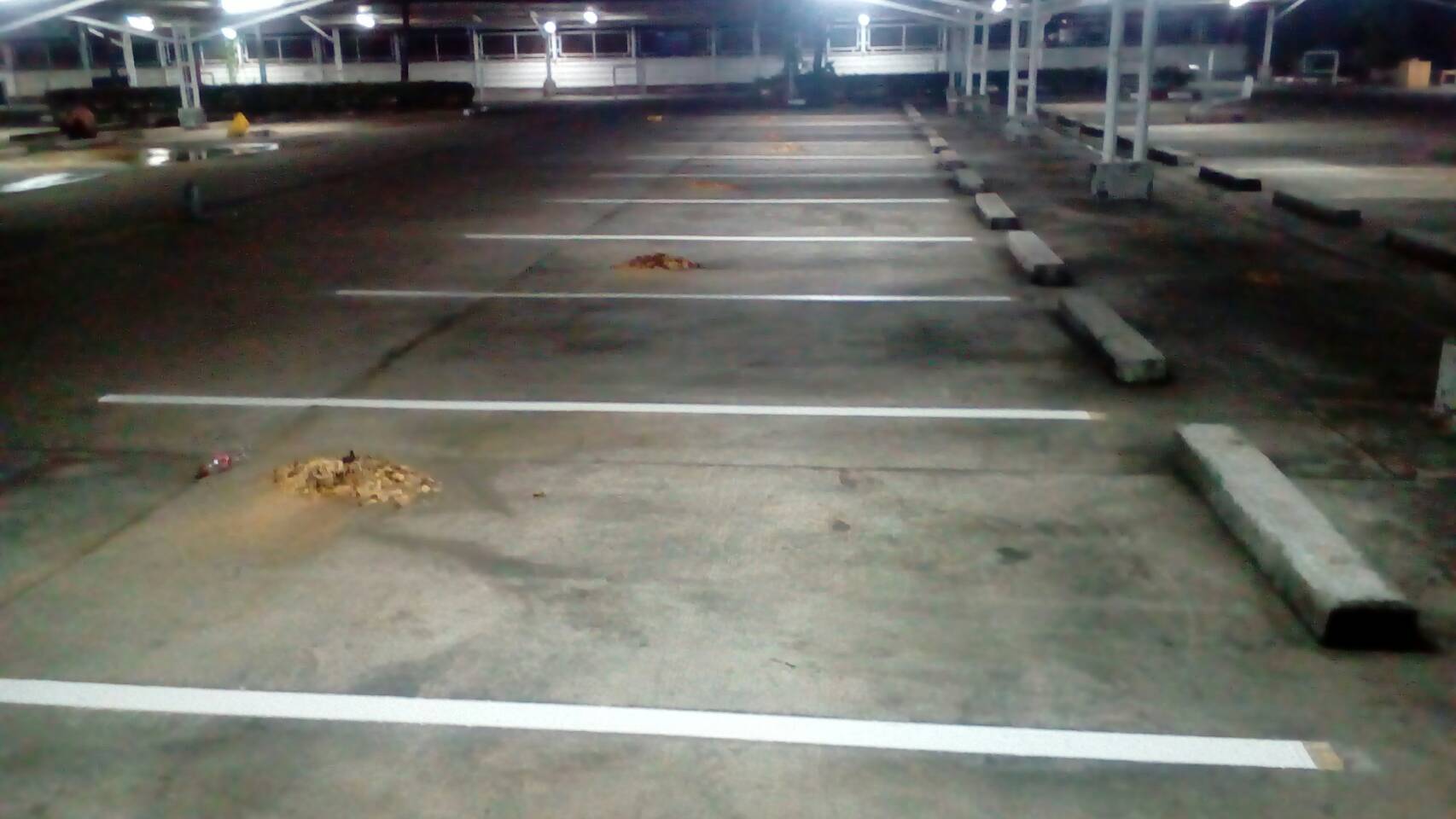 งานตีเส้นลานจอดรถยนต์ พร้อมลูกศรด้วยสีเทอร์โมพลาสติก หน่วยงาน โฮมโปรฯ สาขาราชพฤกษ์