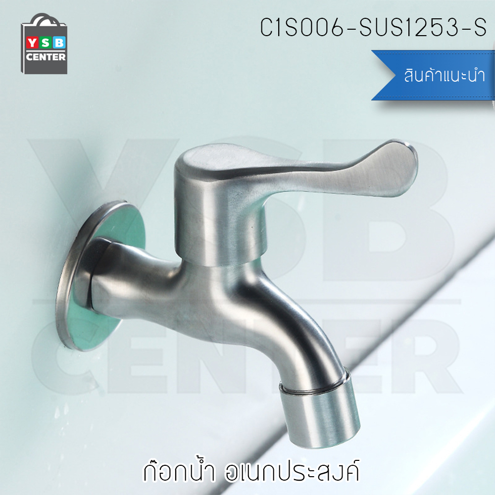 CASSA ก๊อกน้ำ อเนกประสงค์ สแตนเลส304 อ่างล้างหน้า ล้างมือ หัวก๊อกกรองน้ำถนอมมือ แบบเจาะผนัง รุ่นC1S006-SUS1253-S