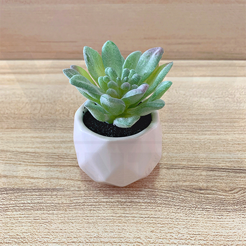 ต้นไม้ปลอม ต้นไม้แต่งบ้าน ดอกไม้พลาสติก ต้นไม้พลาสติก ดอกไม้ประดิษฐ์ (เซ็ต 5 ชิ้น)