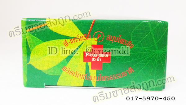 ครีมขิงหน้าขาว ครีมสมุนไพรขิง พี-แคร์ครีม ขิงกล่องเขียว