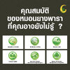 คุณอาจจะยังไม่รู้ คุณสมบัติของหมอนยางพารา