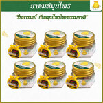 6กระปุก ยาดมสมุนไพรตราถุงไพลทอง ใช้ยาวนานถึง 2 ปี