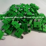 ฟิวส์เซรามิค รุ่น สแตนดาส 30 แอมป์ สีเขียว จำนวน 12 ตัว ( Ceramic Fuse )