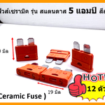 ฟิวส์เซรามิค รุ่น สแตนดาส 5 แอมป์ สีส้ม จำนวน 12 ตัว ( Ceramic Fuse )