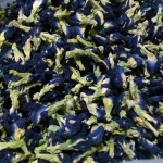 6-10 กิโลกรัม