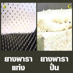 หมอนยางพาราแท่งVS.หมอนยางพาราปั่น