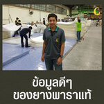 ข้อมูลดีๆ ของยางพาราแท้