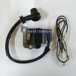 คอยล์ไฟ 3800