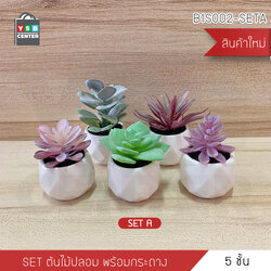 ต้นไม้ปลอม ต้นไม้แต่งบ้าน ดอกไม้พลาสติก ต้นไม้พลาสติก ดอกไม้ประดิษฐ์ (เซ็ต 5 ชิ้น)