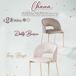 เก้าอี้กำมะหยี่ โมเดิร์น รับแขก ขาเหล็กชุบสี แข็งแรง มีที่พักแขน ออกแบบระบายความร้อน YL183 - YL184-YL0315