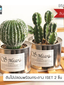 CASSA กระบองเพชร ต้นกระบองเพชร ต้นไม้ประดิษฐ์ ต้นไม้ปลอม พร้อมกระถาง รุ่น B587-C2