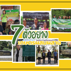 7 ตัวอย่าง เกษตรผสมผสาน พร้อมข้อดีและข้อเสีย