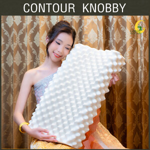 รุ่น คอนทัวร์ น็อบบี้