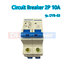 Circuit Breaker DYB-63 C10