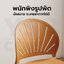 เก้าอี้พลาสติก นั่งสบาย รับน้ำหนักได้เยอะ ดีไซน์สวย สามารถซ้อนกันได้ D070 - D072
