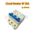 Circuit Breaker DYB-63 C32