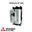 Mitsubishi NF30-CS 2P 30A