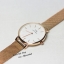 Daniel Wellington Top mirror สายสแตนเลส สีทอง