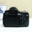 Body Canon 60D